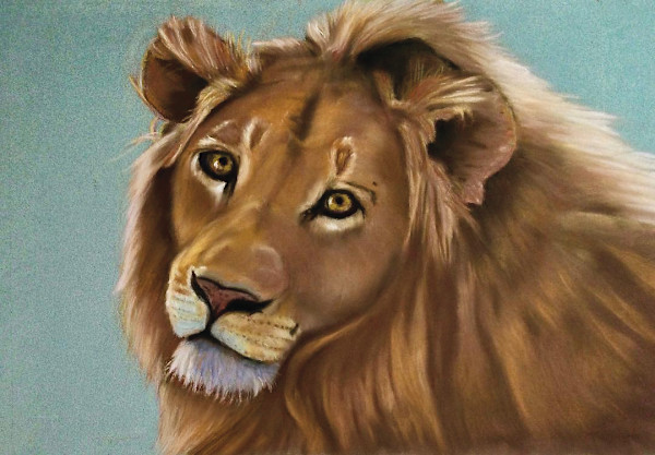 Lion by Cindy Berceli