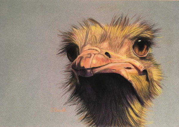 Auspicious Ostrich by Cindy Berceli