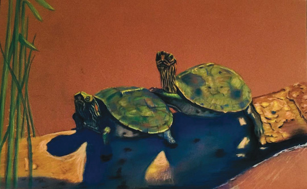 Two Turtles   (Passing on the Right) by Cindy Berceli