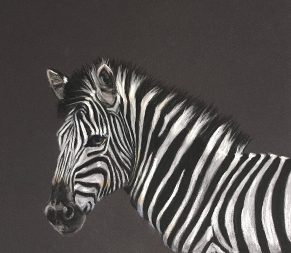 Zebra by Cindy Berceli