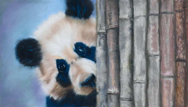 *Peeking Panda by Cindy Berceli