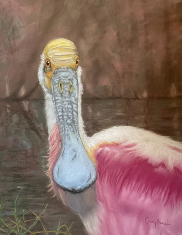 Roseate Spoonbill by Cindy Berceli