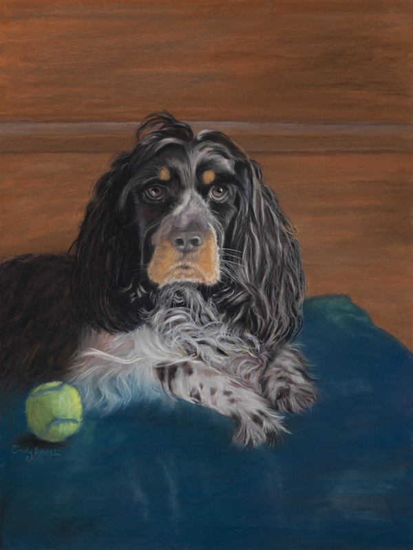 *Shrimp by Cindy Berceli, Image 1.