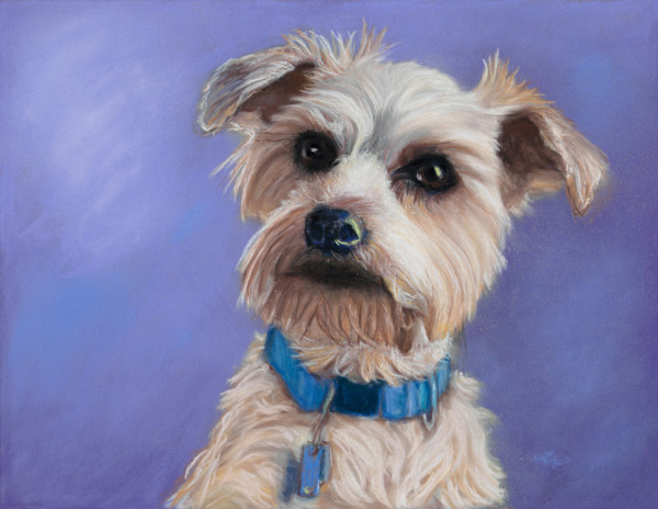 * "Teddy" by Cindy Berceli