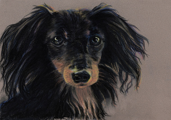 *Toto by Cindy Berceli, Image 1.