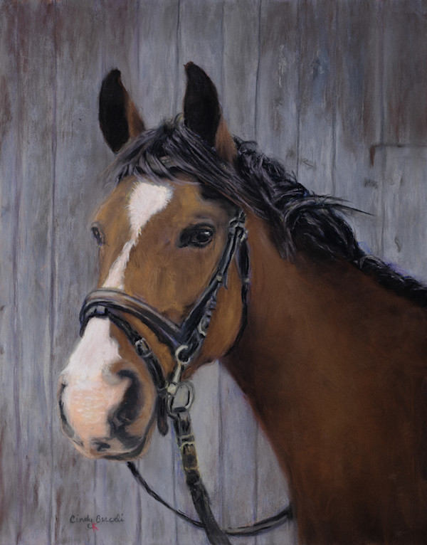*Wingman by Cindy Berceli, Image 1.