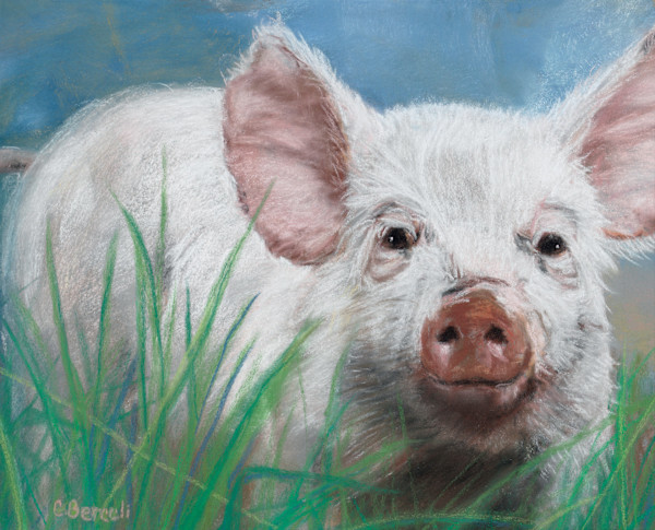 *Wilbur PRINT by Cindy Berceli