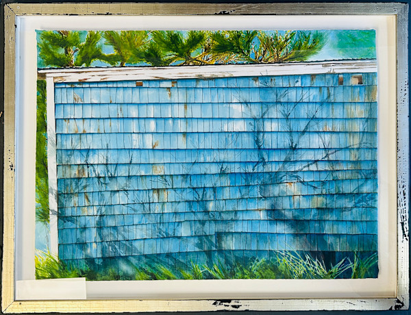 Blue Shed and Shade by Karen Phillips~Curran, Image 1.