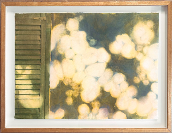 Dappled Shutter Shade by Karen Phillips~Curran, Image 1.