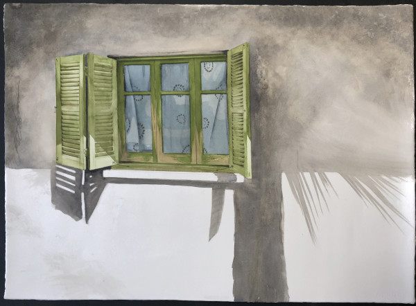 Greeen shutter shade with palm by Karen Phillips~Curran