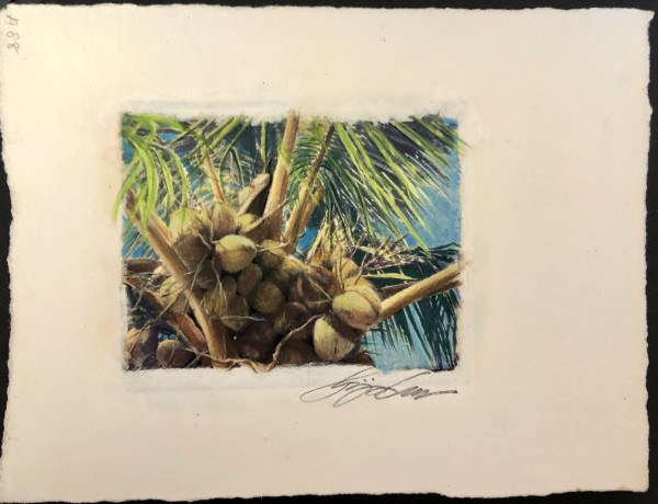 Coconut Palms by Karen Phillips~Curran