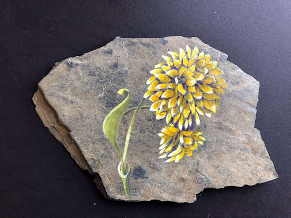 Double cone flower by Karen Phillips~Curran