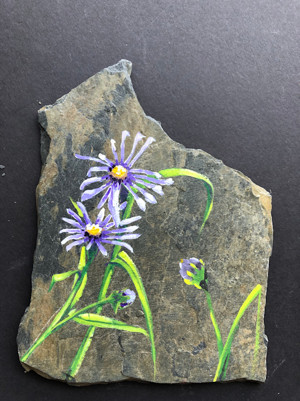 Purple Asters by Karen Phillips~Curran