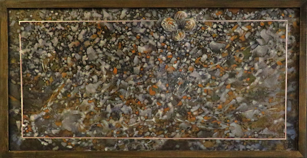 Killdeer by Karen Phillips~Curran