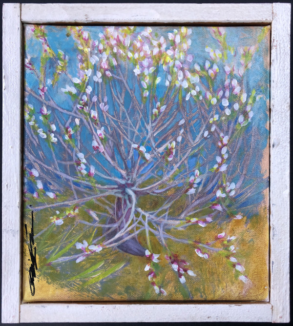 Magnolia in Spring by Karen Phillips~Curran