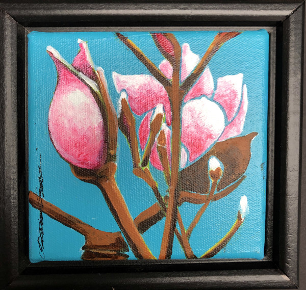 Magnolias by Karen Phillips~Curran