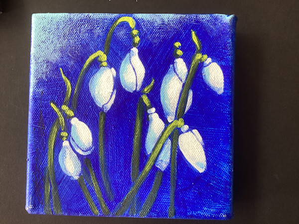Snow drops by Karen Phillips~Curran