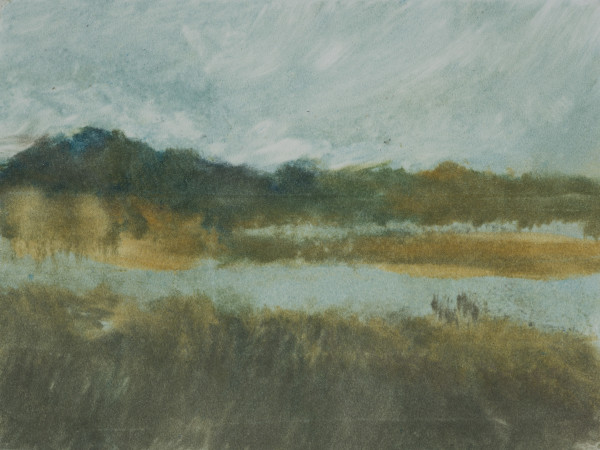 June Marshes II by Marie Cole