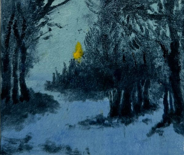 Moonlight in the Forest by Marie Cole