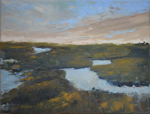 Salt Marshes at Dusk by Marie Cole