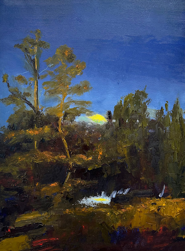 Light in the Forest by Marie Cole