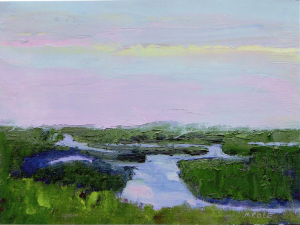 Salt Marshes I by Marie Cole