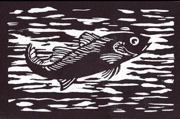 HR Striper 1/10 by Marie Cole, Image 1.