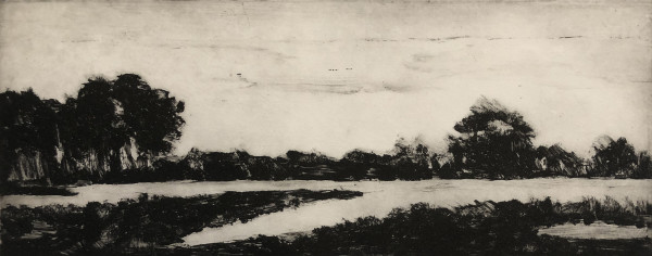 Coastal Marshes, edition image.