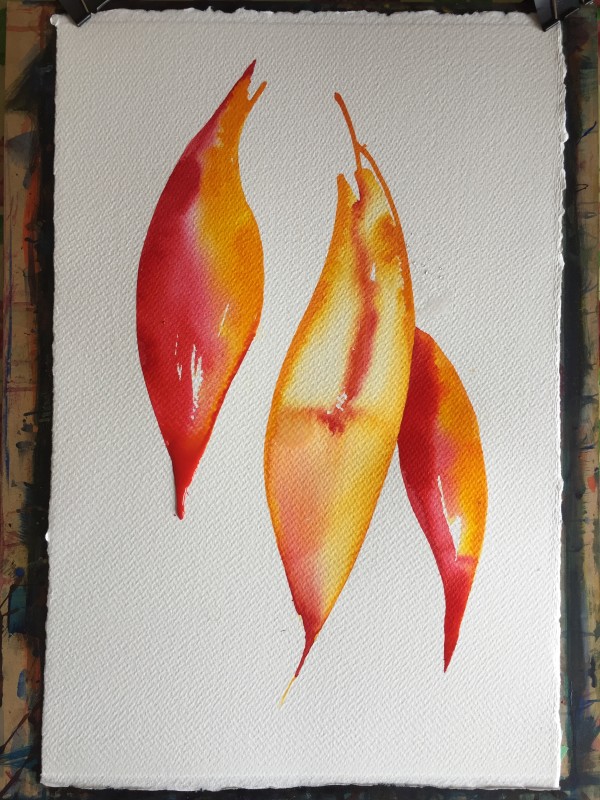 Three red and yellow leaves by Kirsten Johnston