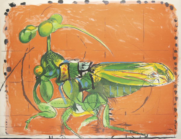 Insect Simulating Seeds by Graham Sutherland