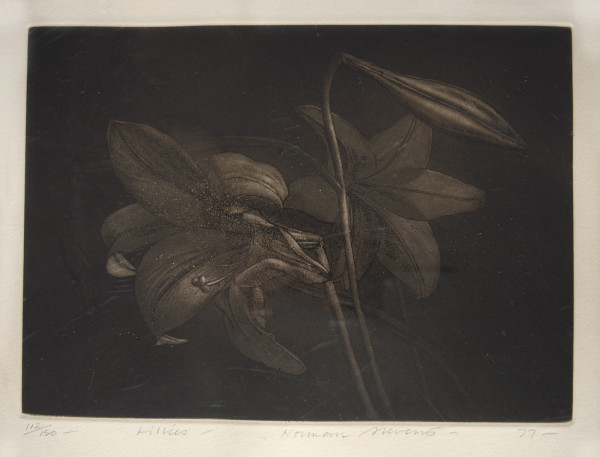 Lillies by Norman Stevens