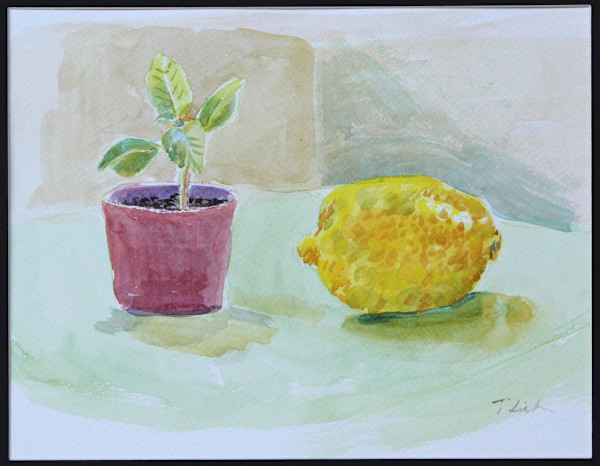 Untitled 'Still Life'