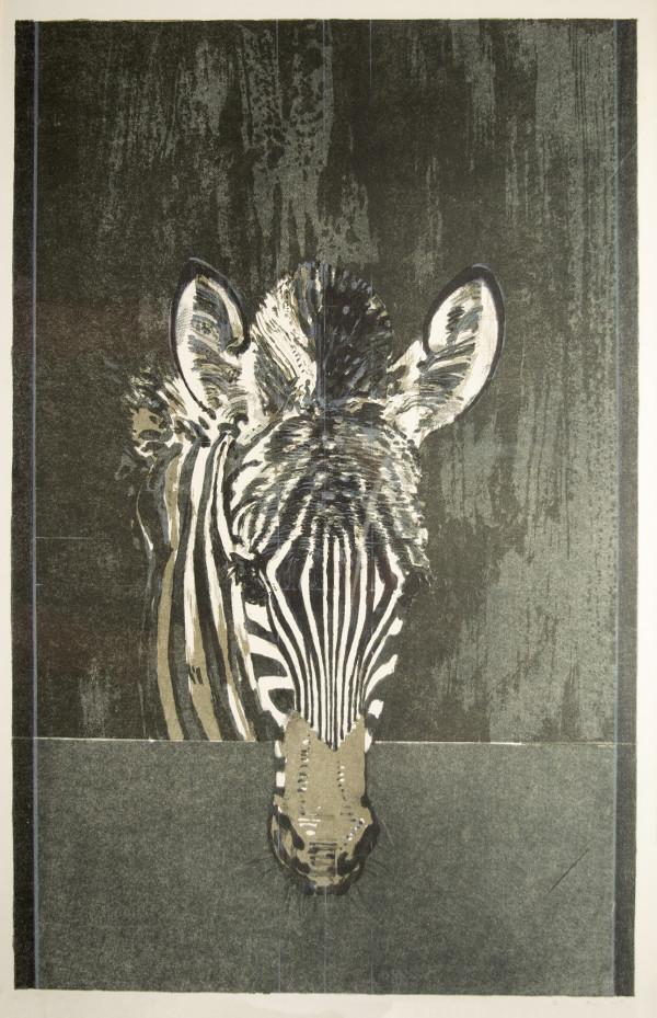 Zebra by Bryan Organ