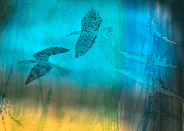 Birds by Aggie Forster