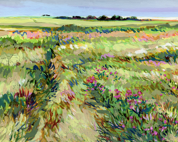 Peace Meadow by Jennifer L Mohr