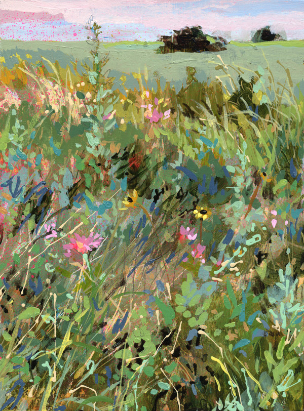 July Wildflowers