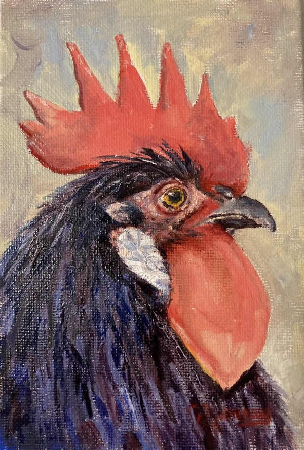 Belvedere B Rooster by Salina Ramsay