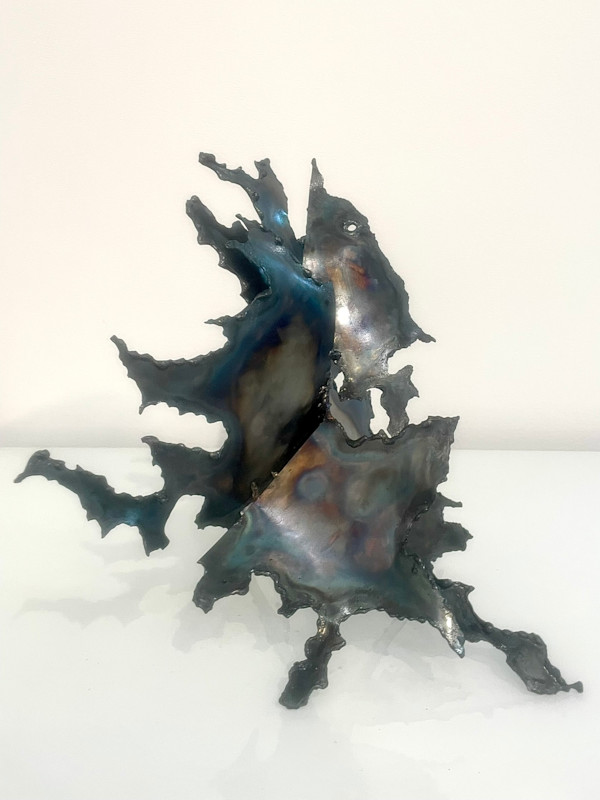 Forces nr1 by Marieken Cochius