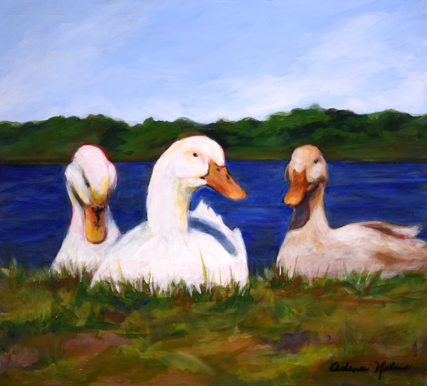 A Safe Of Ducks by Adena  Helm Art