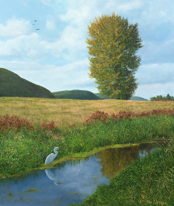 Along Church Road by Thomas Waters