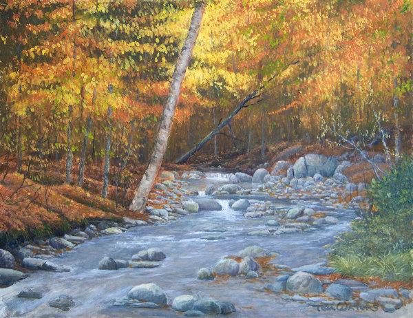 Autumn Brook by Thomas Waters