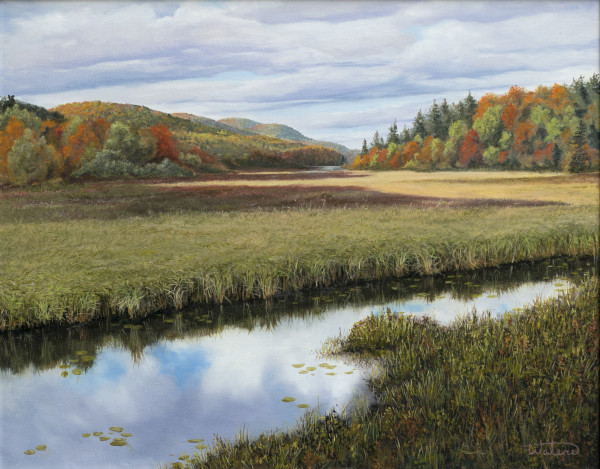 Autumn Marsh, Underhill Flats Vermont by Thomas Waters