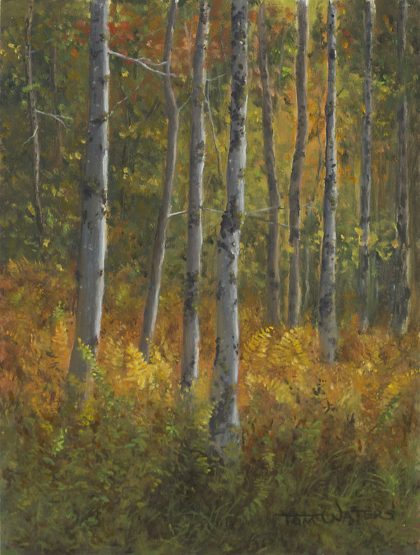 Autumn Woods by Thomas Waters