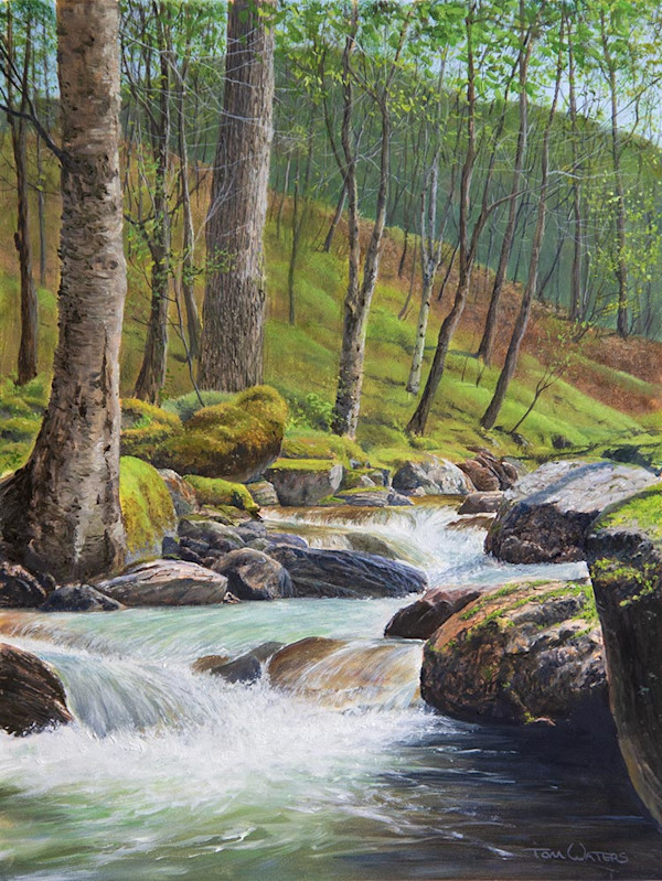 Awakening Woods by Thomas Waters, Image 1.