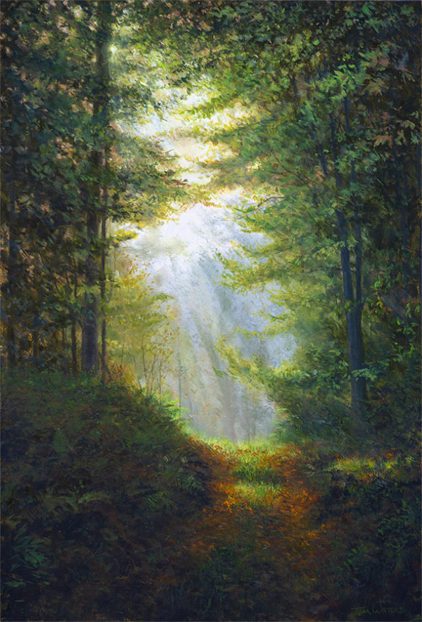 Break In The Forest by Thomas Waters