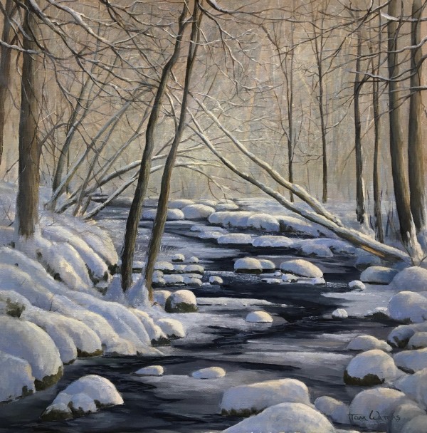 Snowy Woodland Stream by Thomas Waters