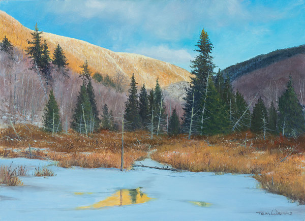 Golden Illumination, Smugglers Notch by Thomas Waters