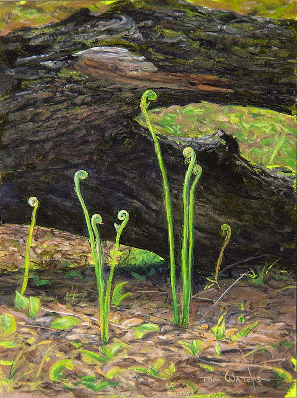 Spring Symphony by Thomas Waters, Image 1.