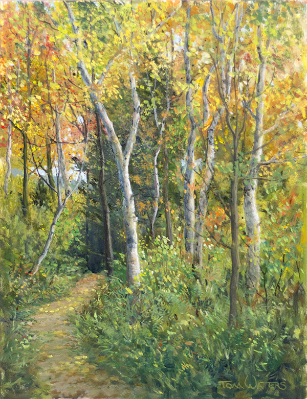 Through the Soft Woods by Thomas Waters