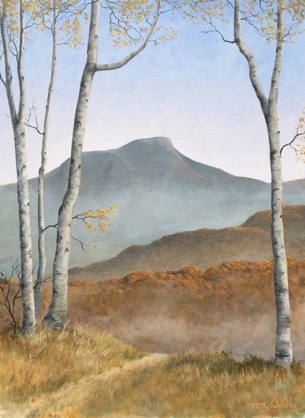 Camels Hump Autumn by Thomas Waters